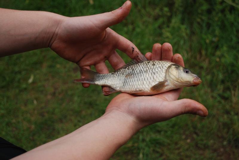 Manor Farm Coarse Fishing Anglers of the Future (16).jpg